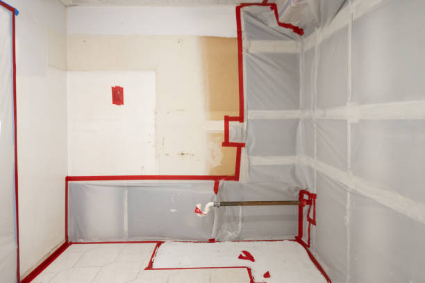 Trusted Girard, PA Mold Removal Experts