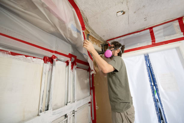 Best Mold Removal for HVAC Installations  in Girard, PA