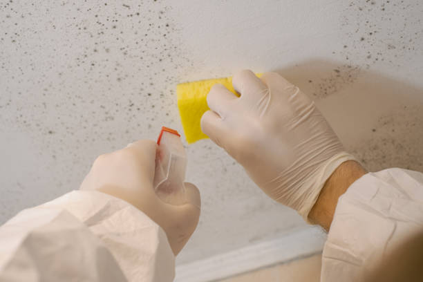 Best HVAC Mold Inspection and Cleaning  in Girard, PA